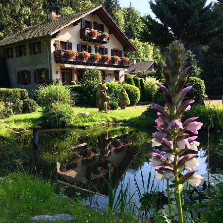 Chambres D'Hotes Des Cascades St-Nicolas Kruth المظهر الخارجي الصورة
