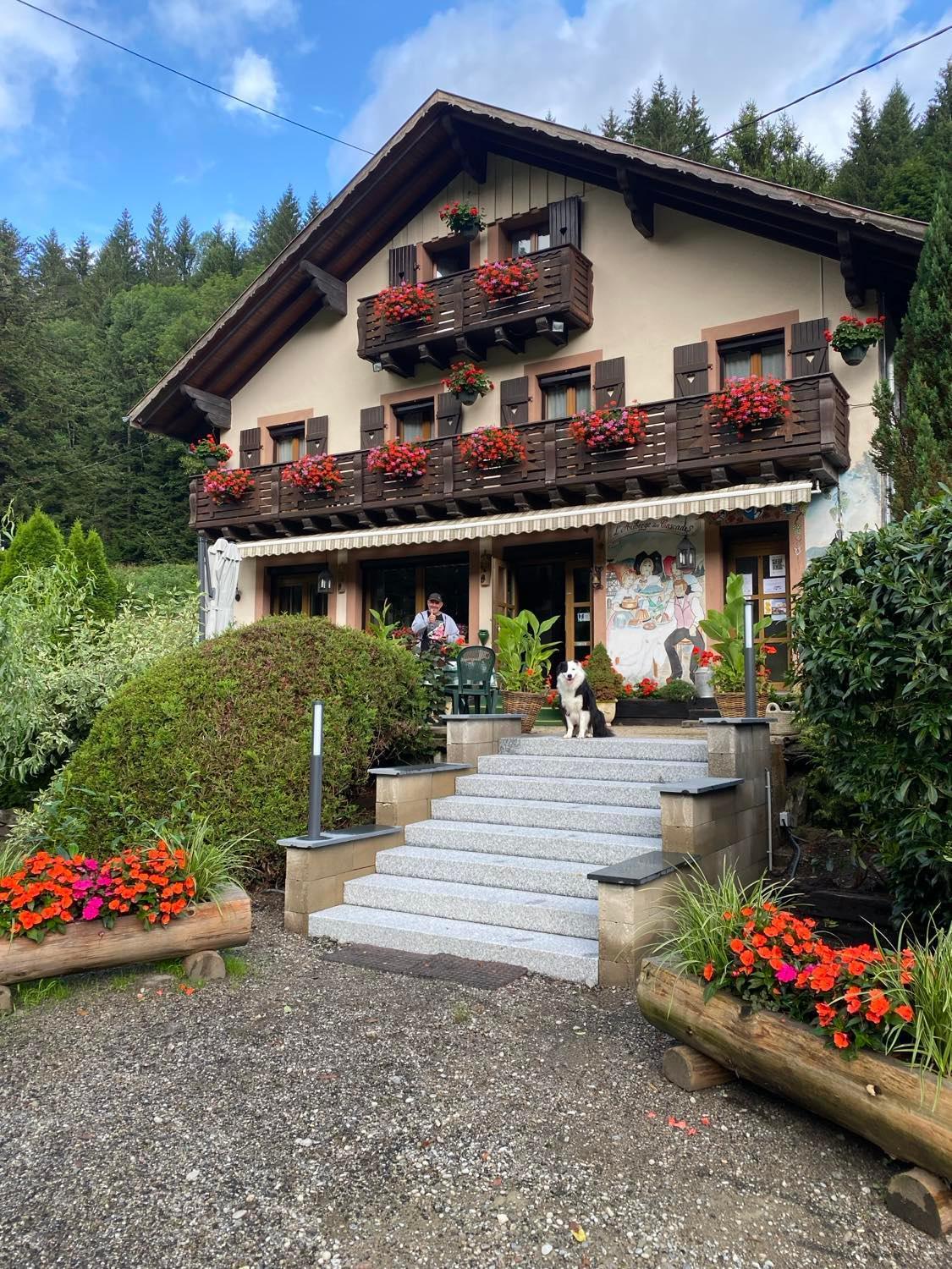 Chambres D'Hotes Des Cascades St-Nicolas Kruth المظهر الخارجي الصورة