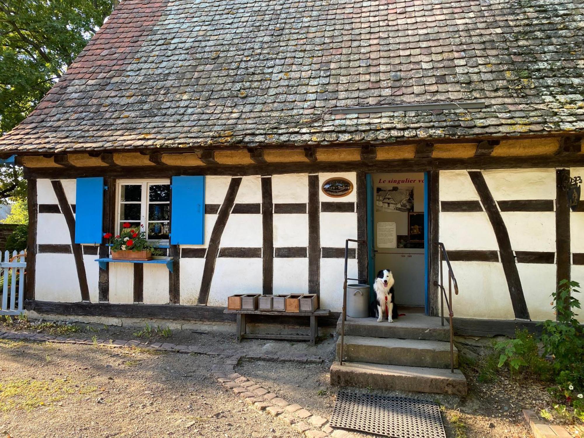 Chambres D'Hotes Des Cascades St-Nicolas Kruth المظهر الخارجي الصورة