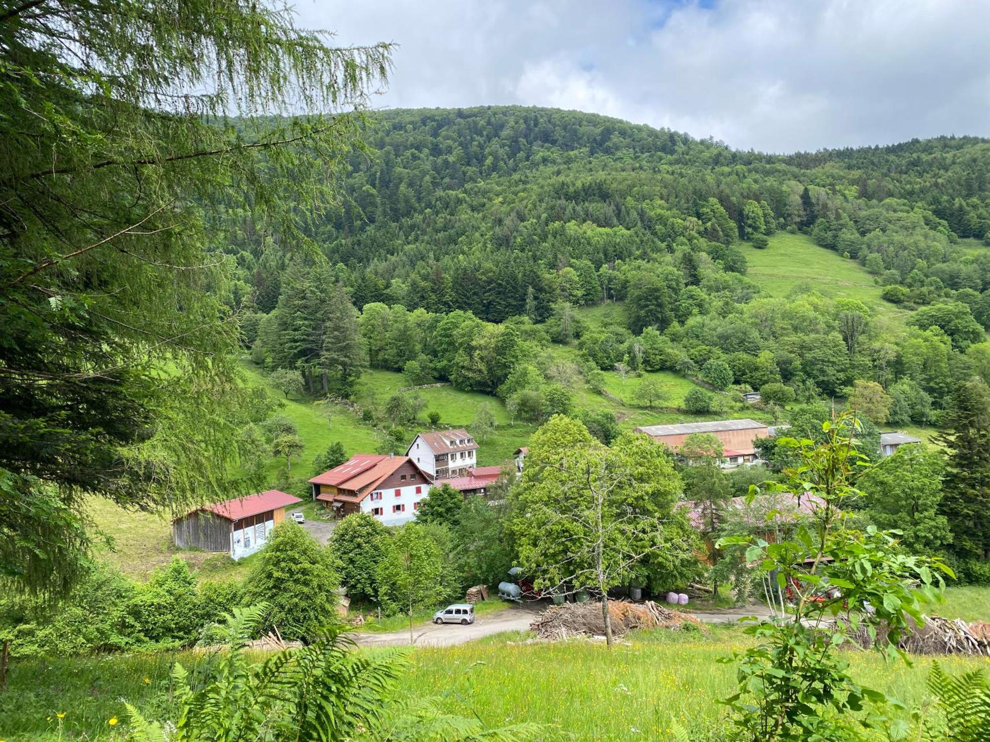 Chambres D'Hotes Des Cascades St-Nicolas Kruth المظهر الخارجي الصورة