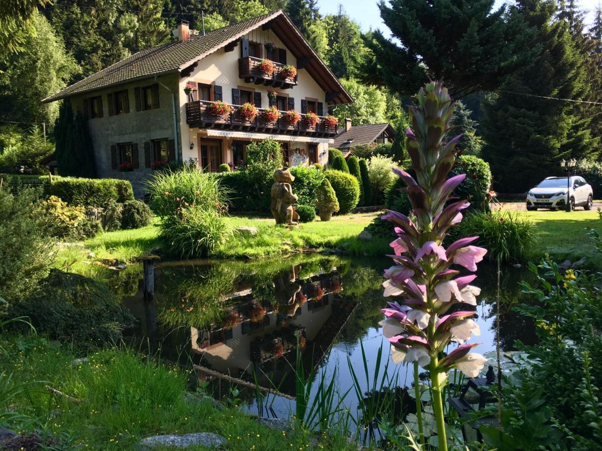 Chambres D'Hotes Des Cascades St-Nicolas Kruth المظهر الخارجي الصورة